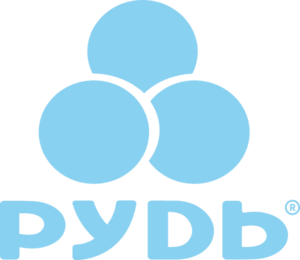 Рудь